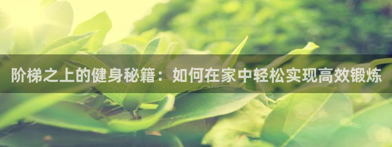 凯捷体育平台APP：阶梯之上的健身秘籍：如何在家中轻松实现高