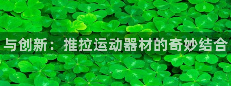 凯捷体育是干嘛的公司：与创新：推拉运动器材的奇妙结合