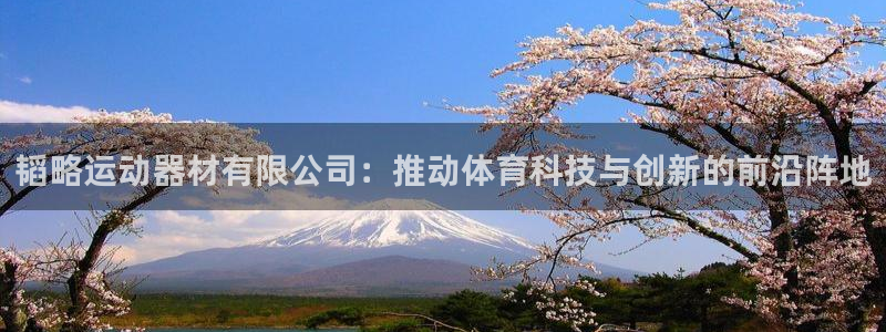 凯捷体育娱乐40996：韬略运动器材有限公司：推动体