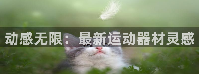 凯捷体育平台是正规平台吗安全吗：动感无限：最新运动器