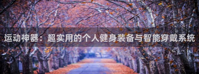 凯捷体育代理：运动神器：超实用的个人健身装备与智能穿