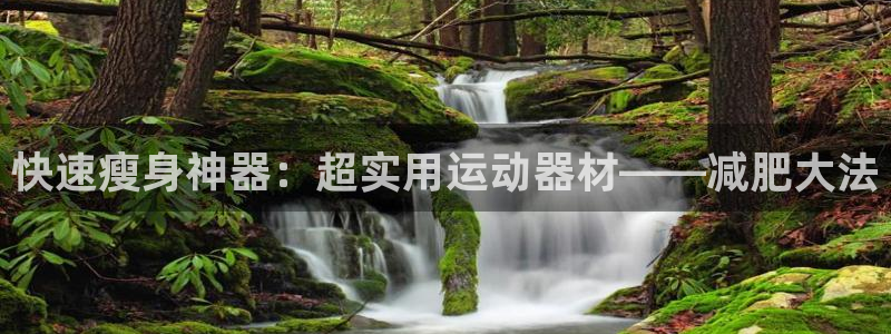 凯捷体育开户：快速瘦身神器：超实用运动器材——减肥大法