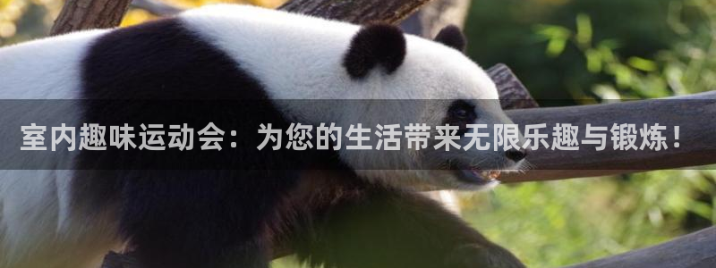 凯捷体育招商电话是多少啊