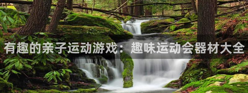 凯捷体育集团：有趣的亲子运动游戏：趣味运动会器材大全