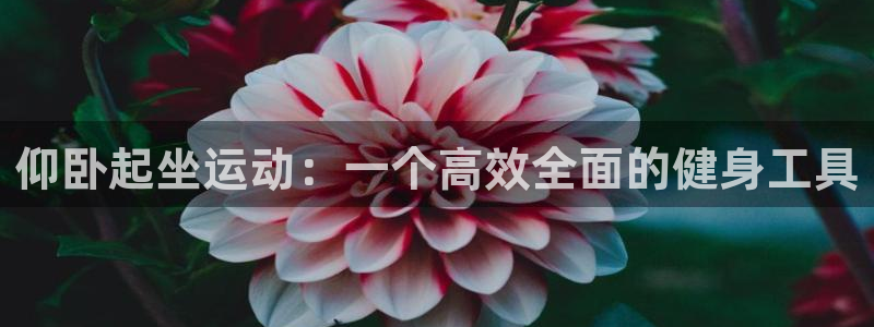 凯捷体育招商电话地址是多少