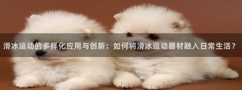 凯捷体育招商电话地址是多少：滑冰运动的多样化应用与创