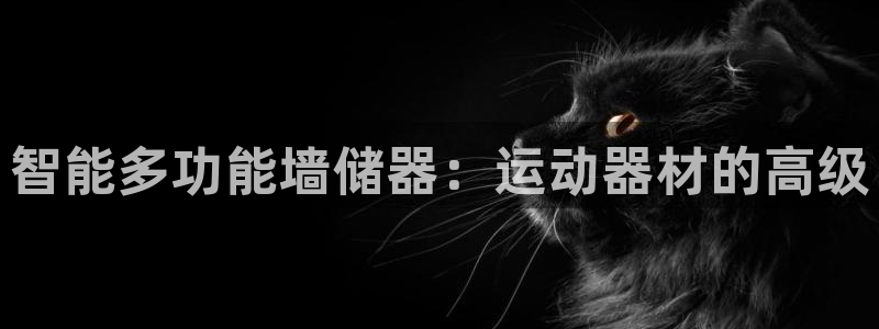 凯捷体育招商电话地址是多少：智能多功能墙储器：运动器材的高级