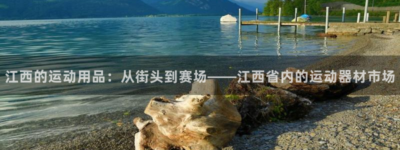 凯捷体育是干嘛的公司