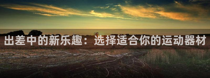 凯捷体育娱乐下载：出差中的新乐趣：选择适合你的运动器