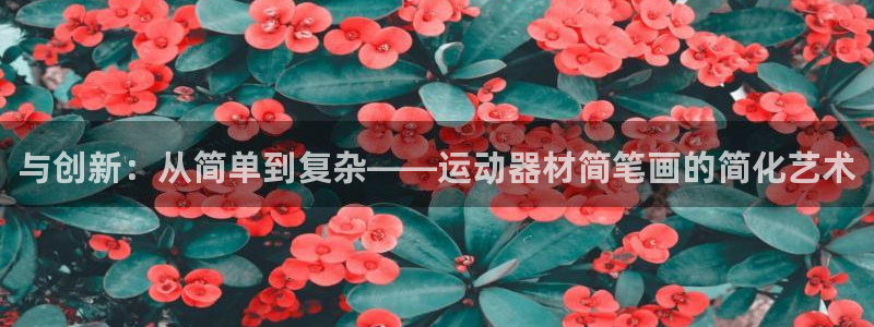 凯捷体育平台注册要钱吗是真的吗：与创新：从简单到复杂——运动