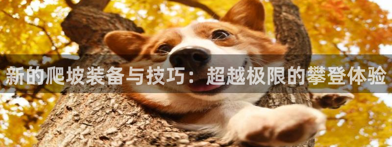 凯捷体育招商电话是多少