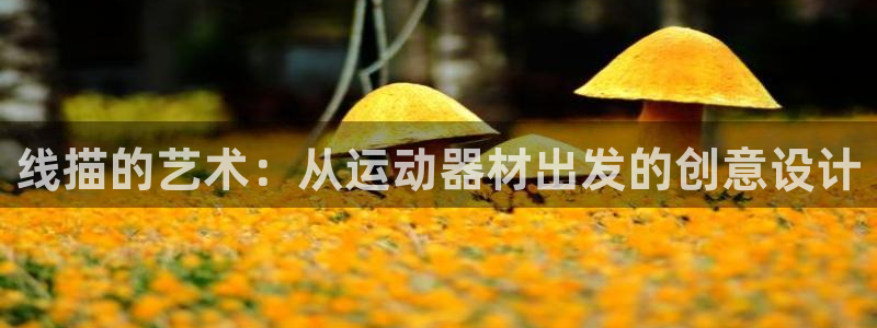 凯捷体育娱乐首页网站大全：线描的艺术：从运动器材出发的创意设